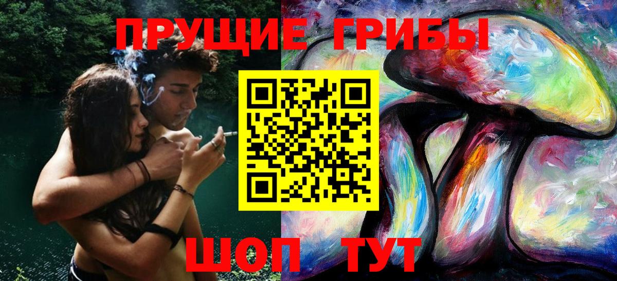 Псилоцибиновые грибы Psilocybe  Вход с VPN  Лысьва 