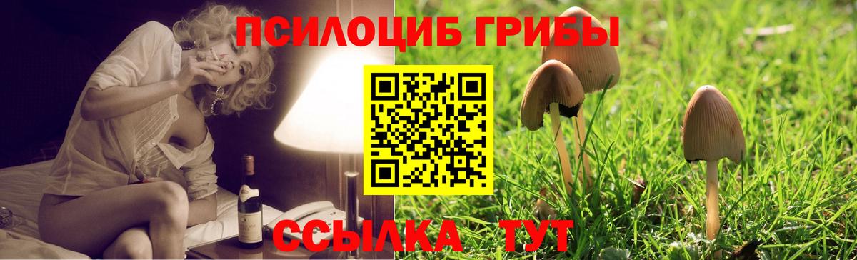 Псилоцибиновые грибы мухоморы Лысьва